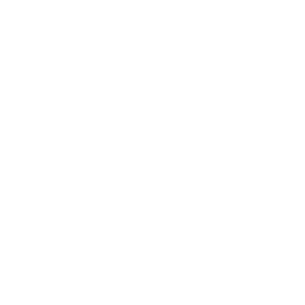 TV Piratini