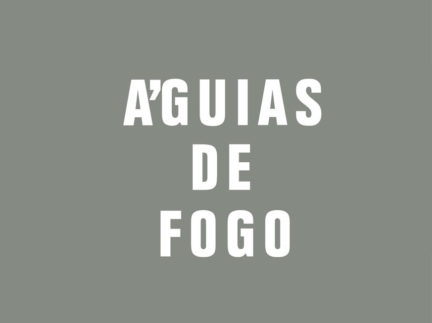 Águias de Fogo